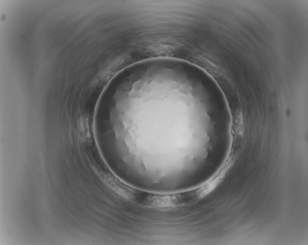 X0000079300182200611171040