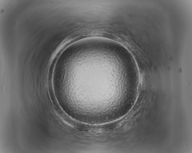 X0000079300195200611171039