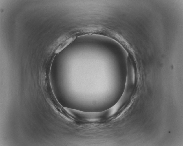 X0000079300201200611171039