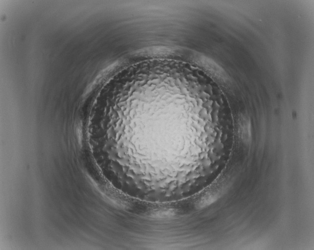 X0000079300206200611171039