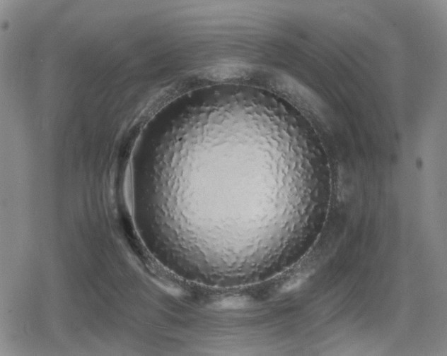 X0000079300210200611171039