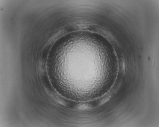X0000079300218200611171039