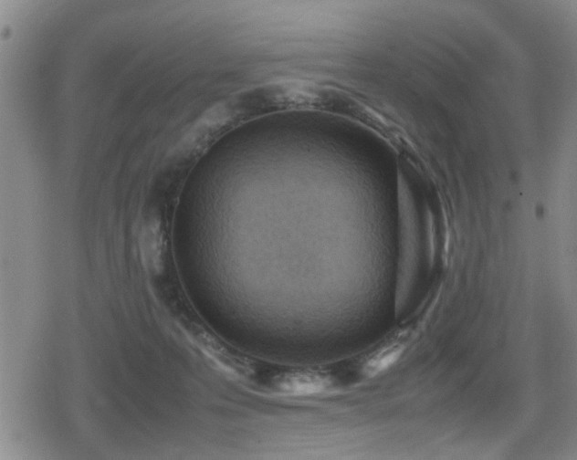 X0000079300223200611171038