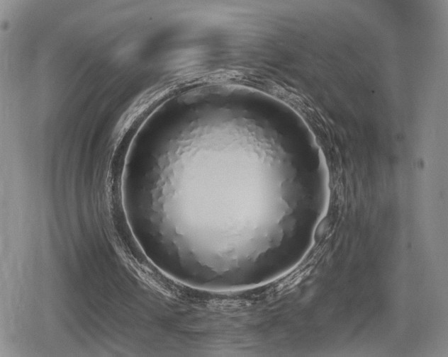 X0000079300242200611171037