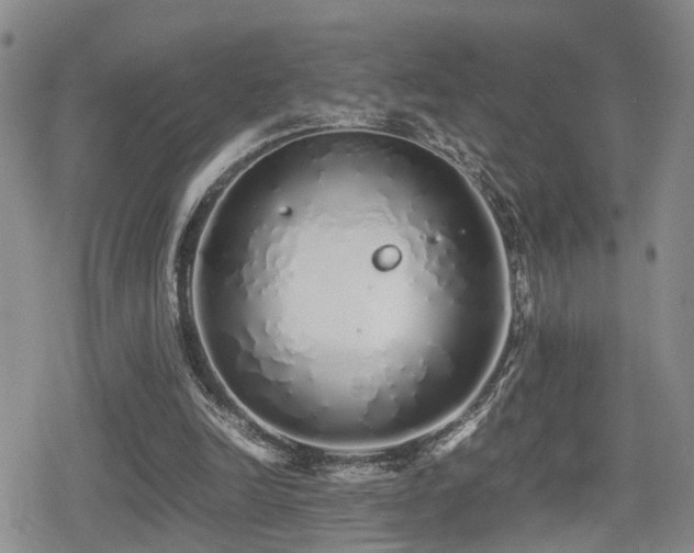 X0000079300246200611171037