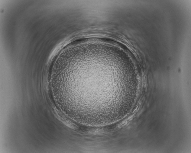 X0000079300293200611171037
