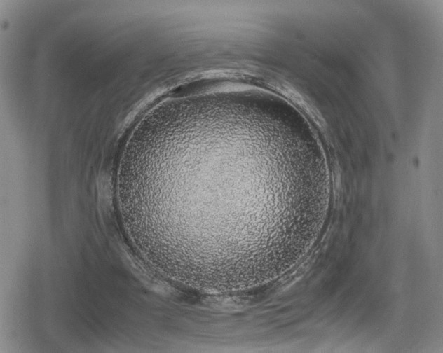 X0000079300297200611171037
