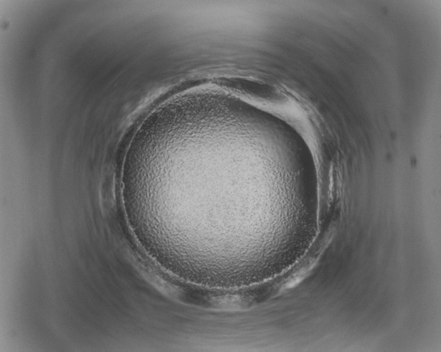 X0000079300301200611171037