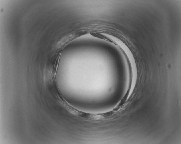 X0000079300333200611171037