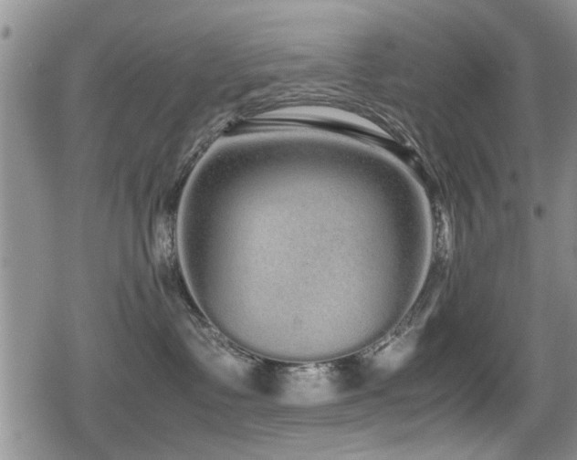 X0000079300335200611171037