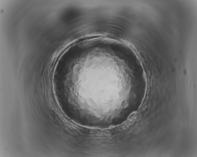 X0000079300337200611171036