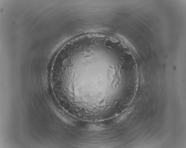 X0000079300346200611171036