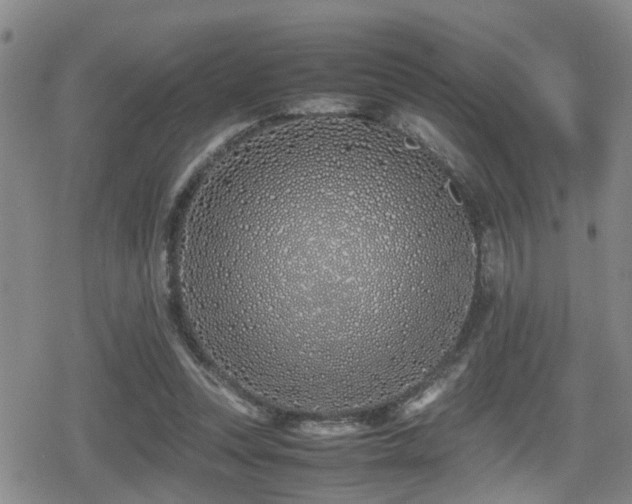 X0000079300351200611171036