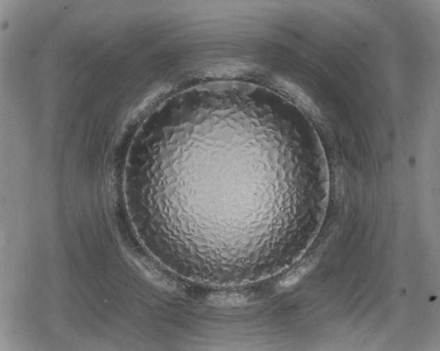 X0000079300354200611171036