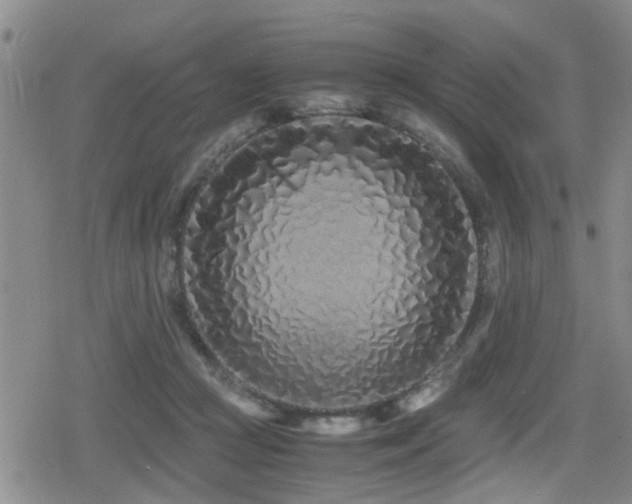 X0000079300361200611171036