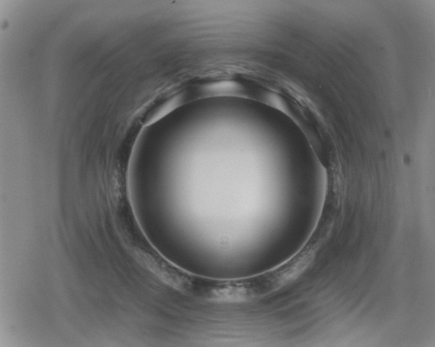 X0000079300362200611171036