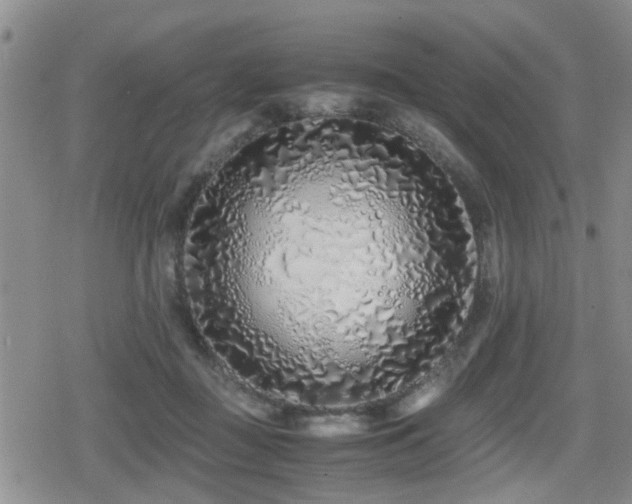 X0000079300363200611171036
