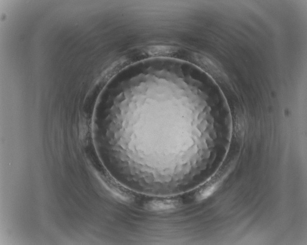 X0000079300367200611171036