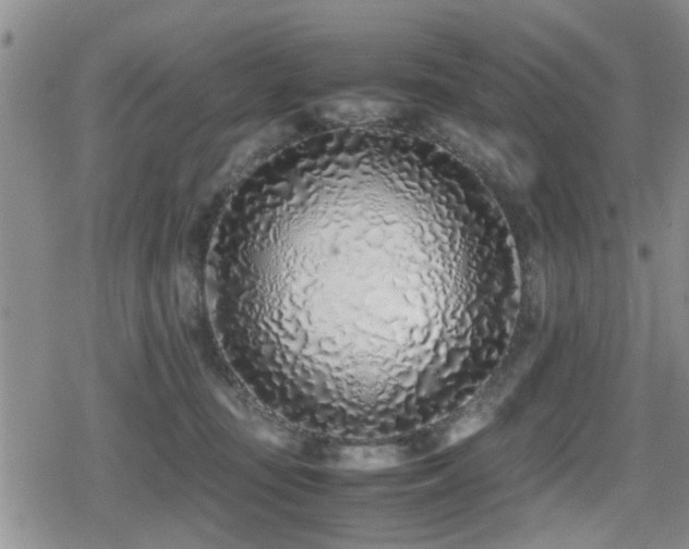 X0000079300371200611171036