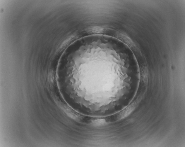 X0000079300374200611171036