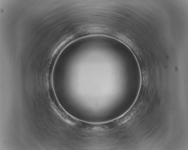 X0000079300390200611171036