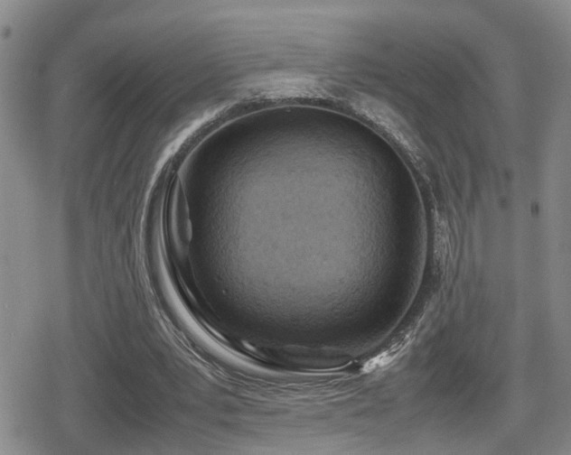 X0000079300391200611171036