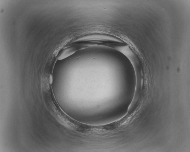 X0000079300393200611171036