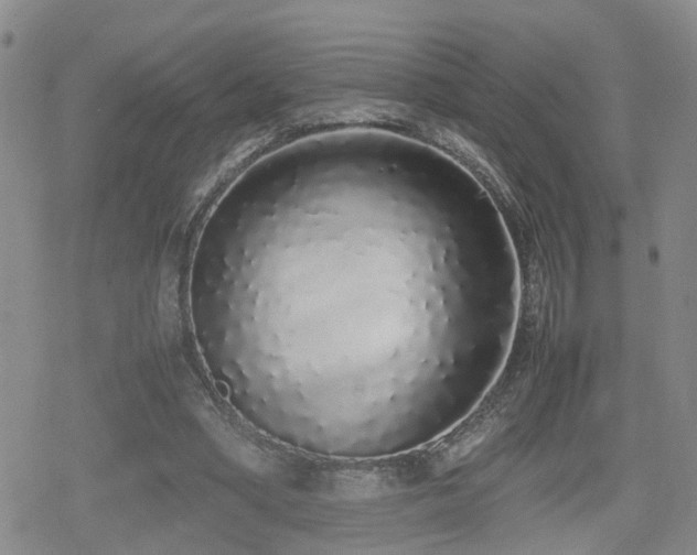 X0000079300394200611171036