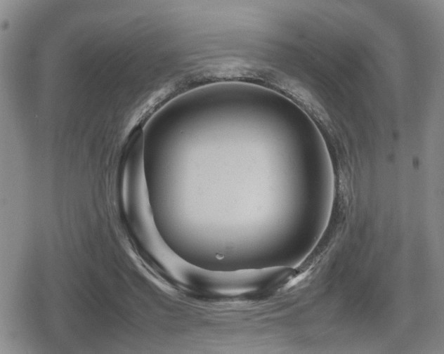X0000079300397200611171036