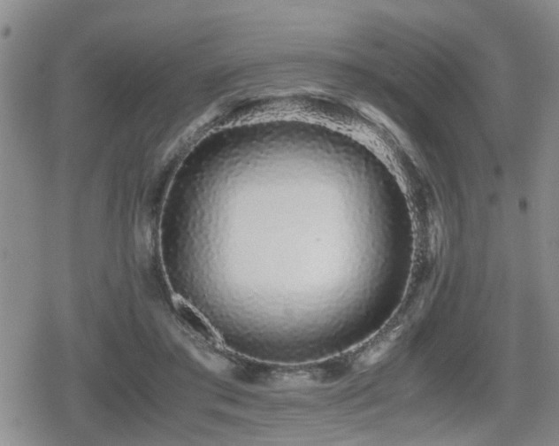 X0000079300405200611171035