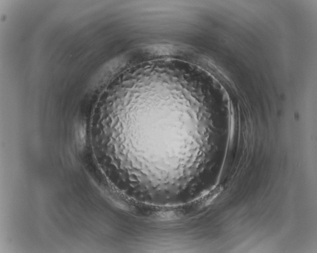 X0000079300406200611171035