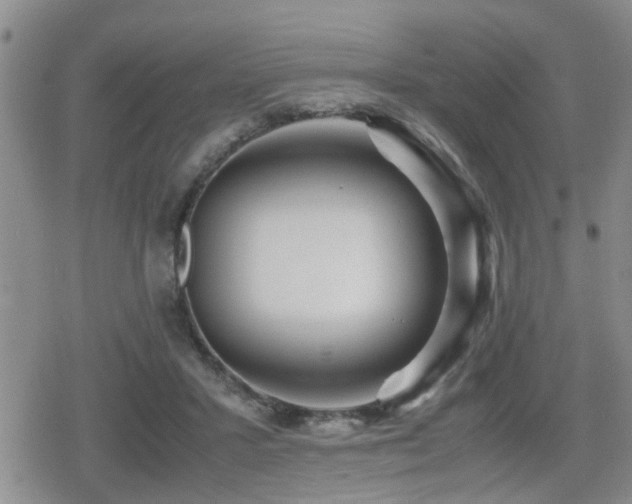 X0000079300407200611171035