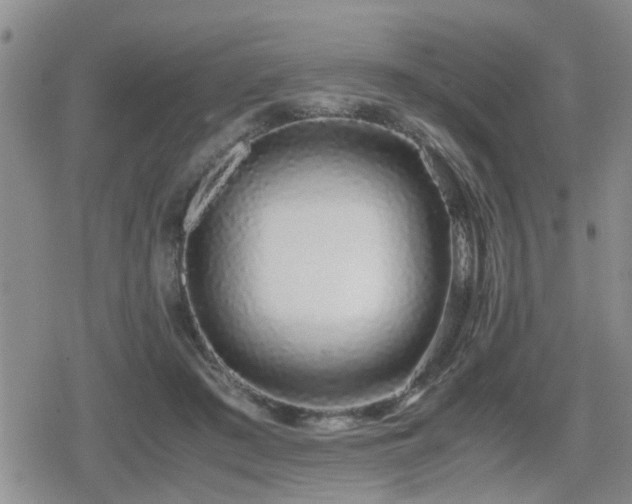X0000079300409200611171035