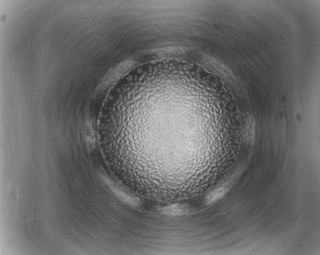X0000079300430200611171035