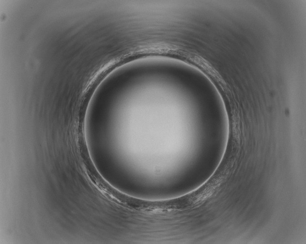 X0000079300434200611171034
