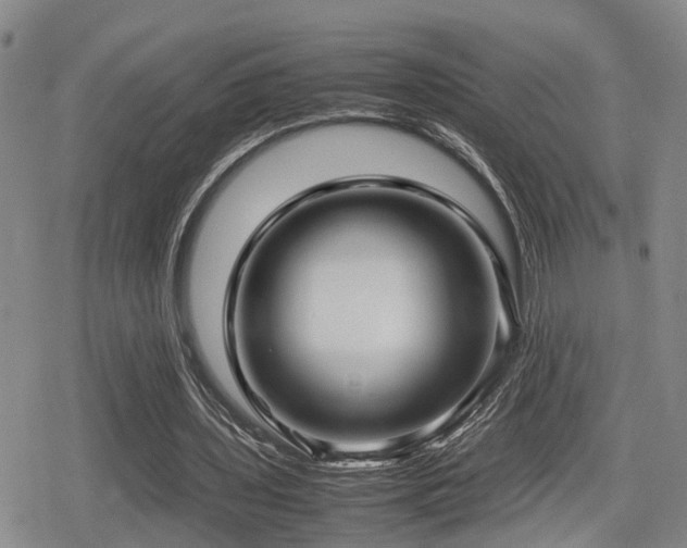 X0000079300435200611171034