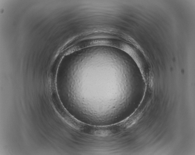 X0000079300444200611171034