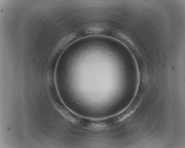 X0000079300455200611171035