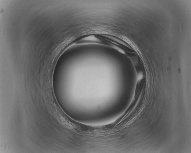 X0000079300481200611171034