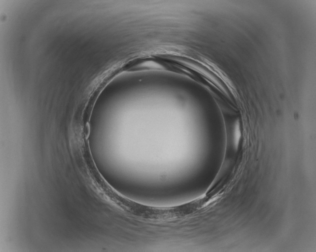 X0000079300485200611171034