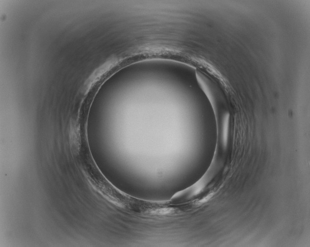 X0000079300488200611171034