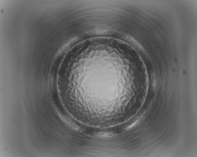 X0000079300542200611171033