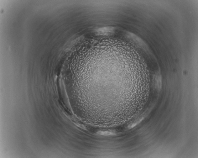 X0000079300557200611171033