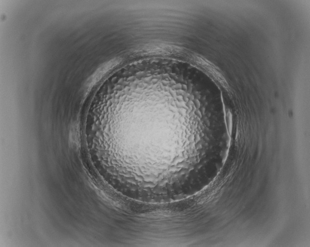 X0000079300578200611171033