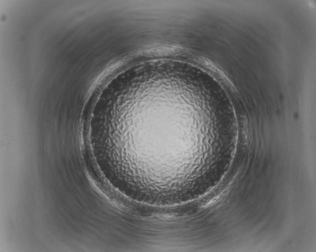X0000079300582200611171033
