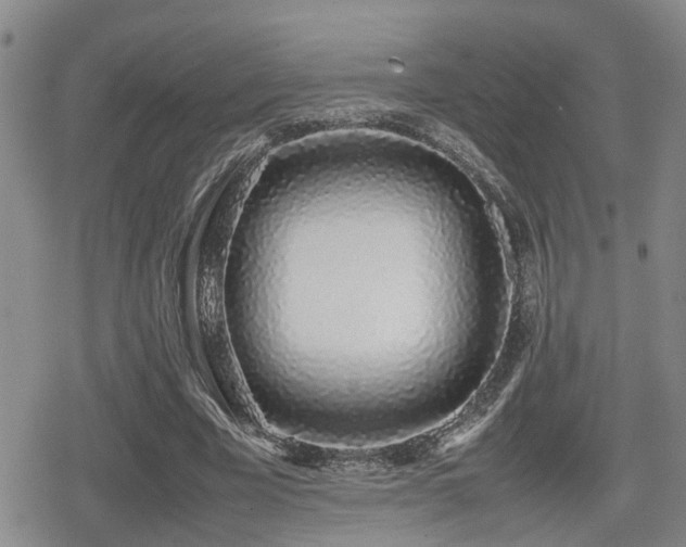 X0000079300585200611171032