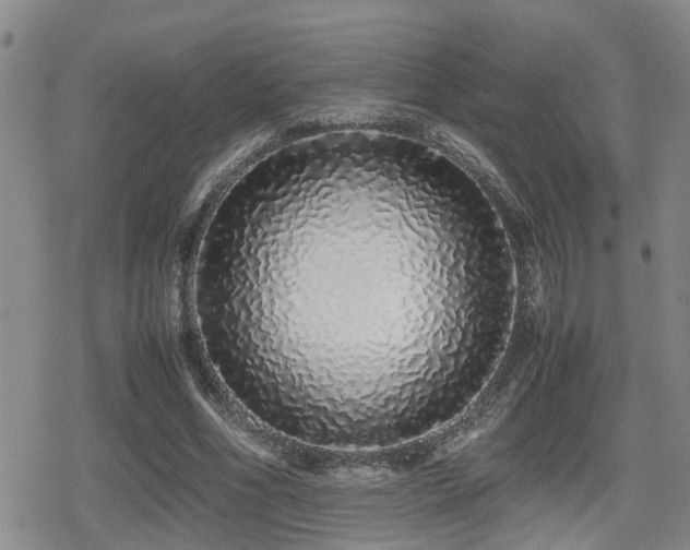X0000079300586200611171032