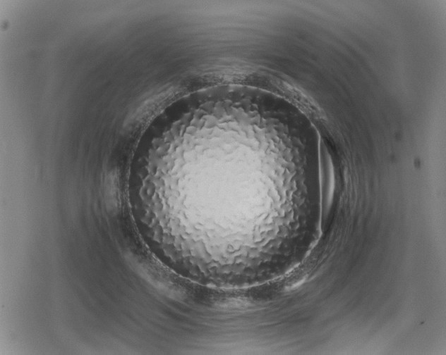 X0000079300594200611171032
