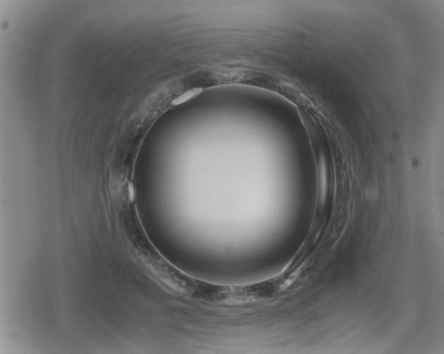 X0000079300601200611171032