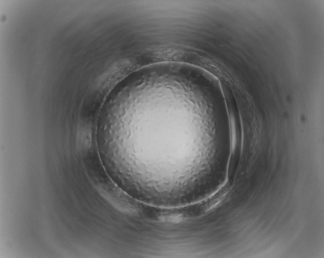 X0000079300602200611171032